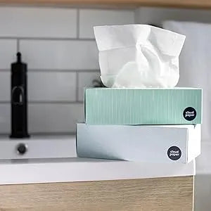 Cloud Nine Facial Tissue (4-Ply, 100 Sheets)