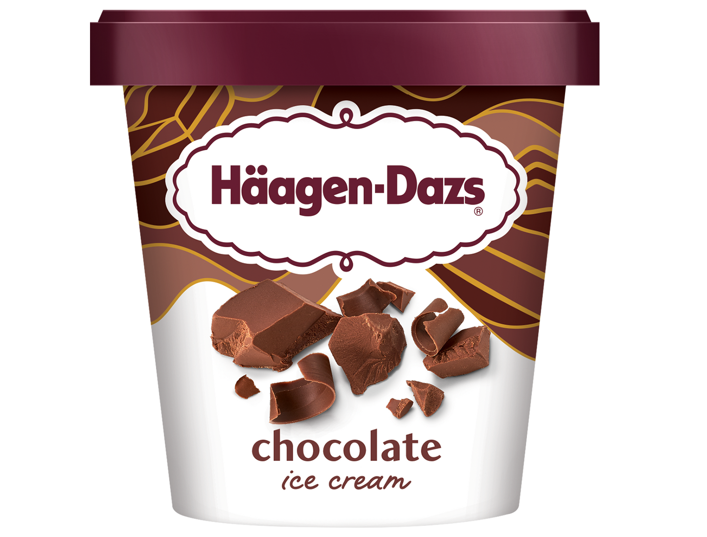 Haagen-Dazs Chocolate Ice Cream 655ml