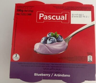 Pascual Blueberry Yogurt 480G