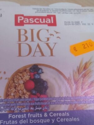 Pascual Big Day Fruit Yogurt 480G