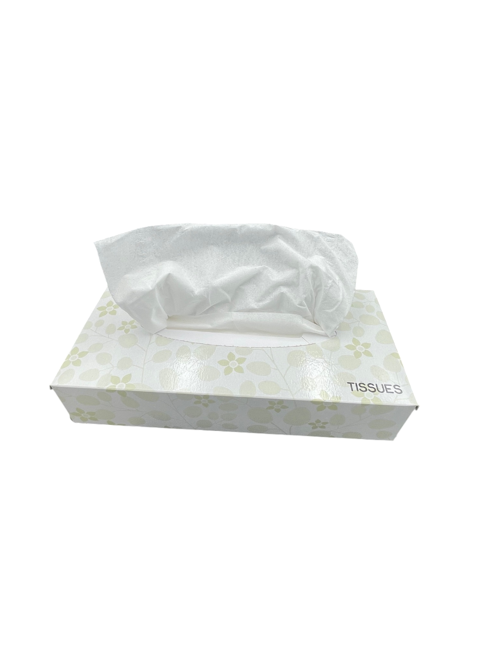 Cloud Nine Facial Tissue 100 Sheets