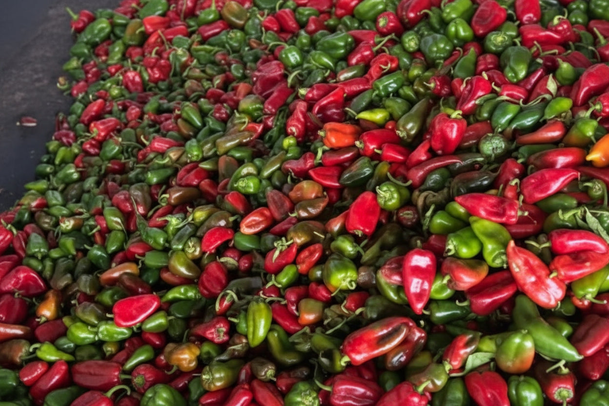 Country Pepper per KG
